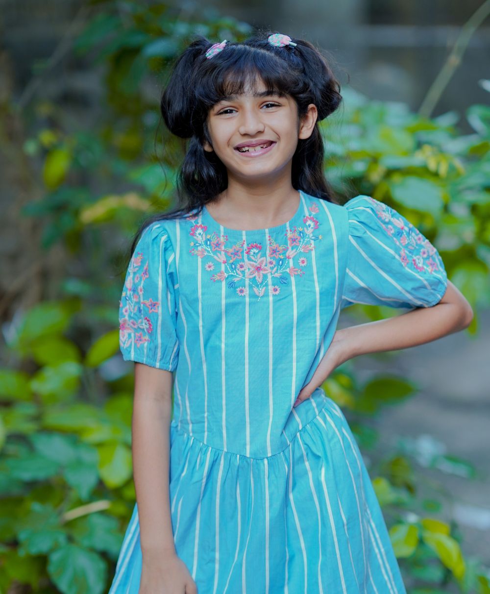 Balloon Sleeved Embroidered Dress - Blue